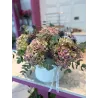 Sombrerera de Flores